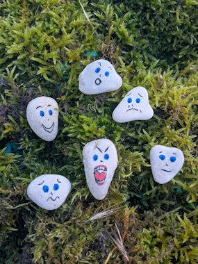 Description de l'image 2